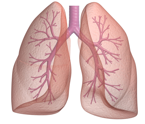 lung2